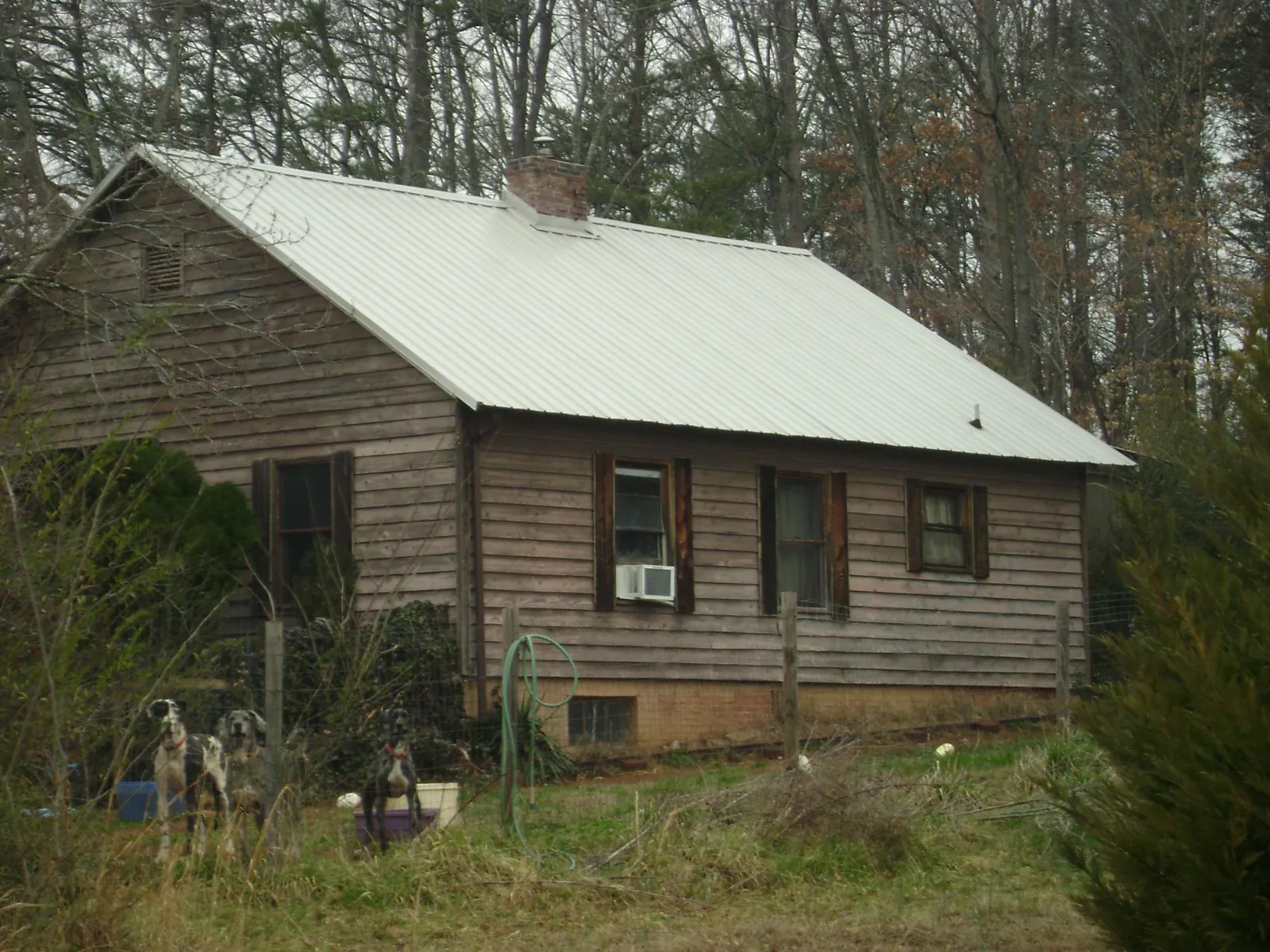 White metal roof on an old wood sided farmhouse, from a Asphalt Shingle Roof Repair job in Kidder